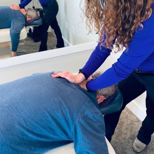 physical-therapy-Vineyard-complementary-medicine-marthas-vineyard-edgartown-ma